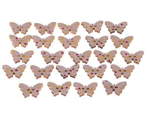 29005_36992