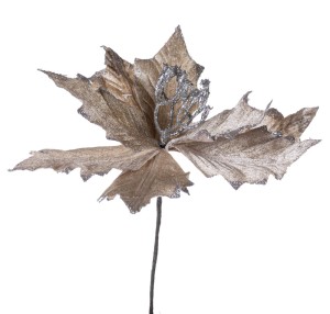 Poisencja złota 23cm zimowa