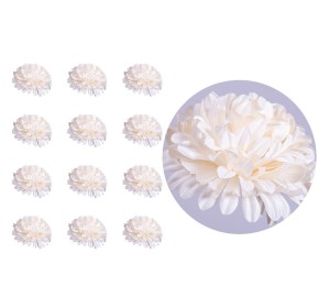 Chryzantema satynowa główka śmietankowa 12 sztuk