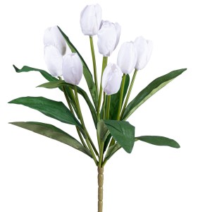 Tulipan biały bukiet
