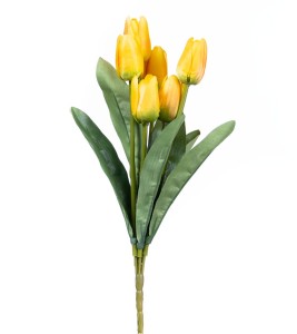 Tulipan bukiet 7 kwiatów żółty