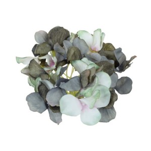 Hortensja 14cm szaro zielona