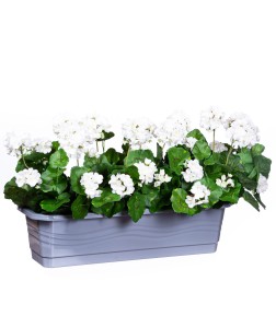 Skrzynka doniczka balkonowa 60cm szara