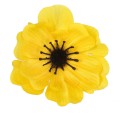 39565_55353