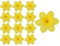 39636_55475