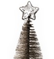 36651_48365