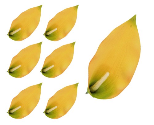 39790_55725