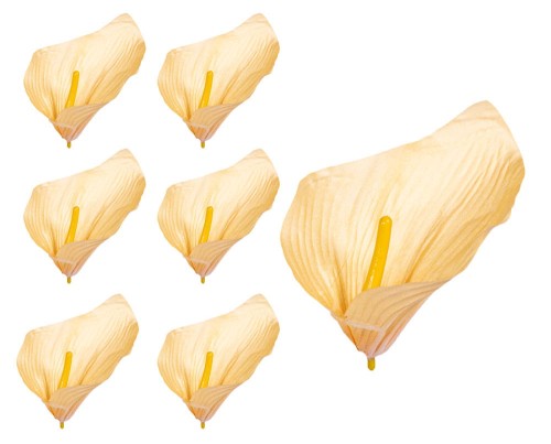 39886_56000