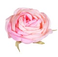 40160_56497