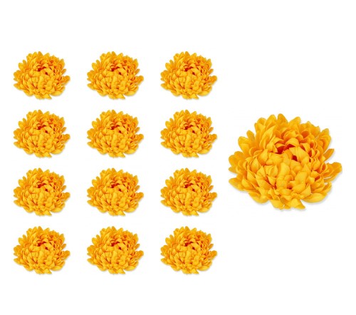 40566_57136