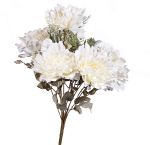 Peonia bukiet kremowy