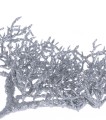 32748_41777