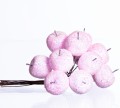 39048_54729