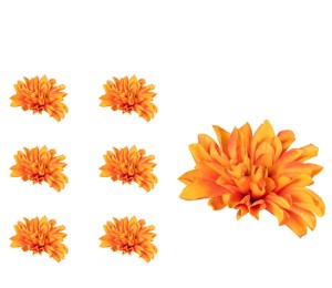 Dalia główka kwiatowa pomarańczowa 6 SZTUK