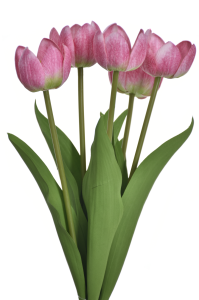 Tulipan bukiet różowy natural touch