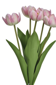 Tulipan bukiet jasno różowy natural touch