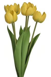 Tulipan bukiet żółty natural touch