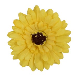 Gerbera główka musztardowa