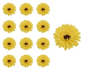 Gerbera główka musztardowa 12 sztuk