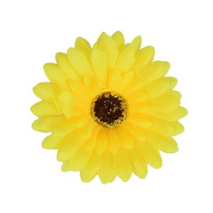 Gerbera główka żółta 12 sztuk