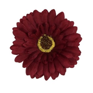 Gerbera główka bordowa