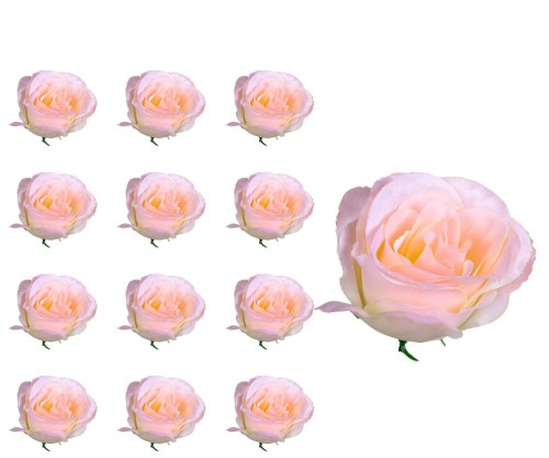 40686_57828