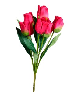 Tulipany bukiet czerwony