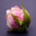 35015_58024