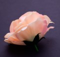 40380_58176