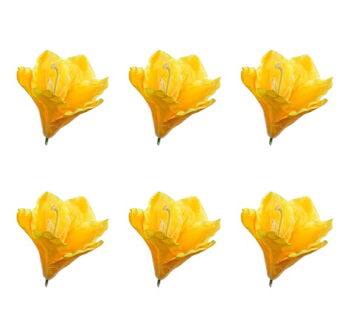 41125_58323