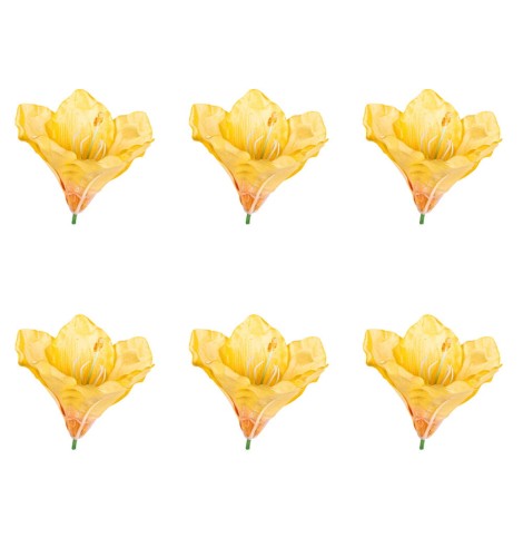 41135_58350