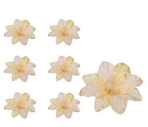 Clematis główka żółta 6 SZTUK