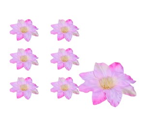 Clematis główka różowa 6 SZTUK