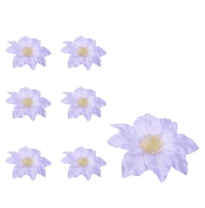 Clematis główka biała 6 SZTUK