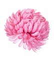 37762_50751