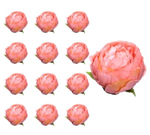 Peonia satynowa główka łososiowa x12 sztuk