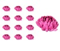 41233_59116