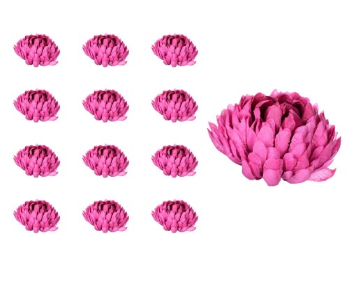 41233_59116
