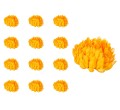 41231_59132