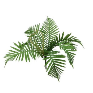 Palma bukiet 50cm