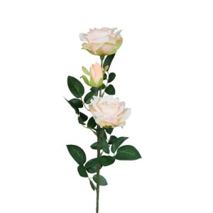 Róża brzoskwiniowa gałązka 67cm