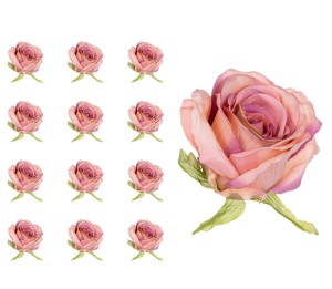 Róża Memory główka różowo brzoskwiniowa 12 sztuk