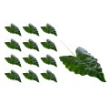 41546_59552