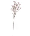 41564_59911