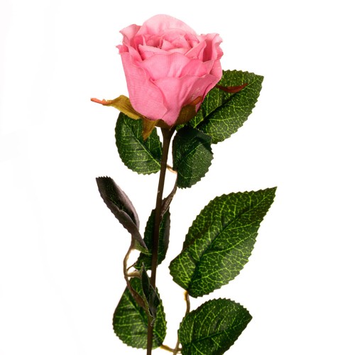 41602_59836