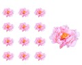 41663_60005