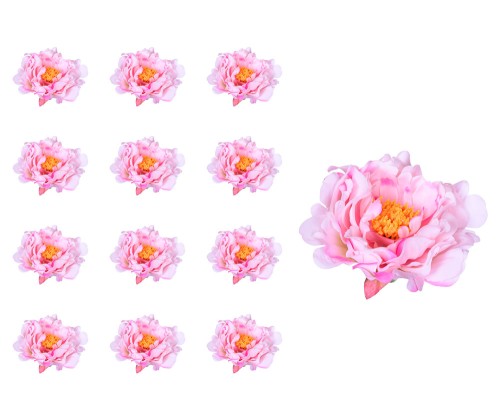41663_60005