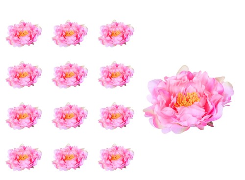41664_60012