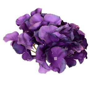 Hortensja fioletowa główka 16cm