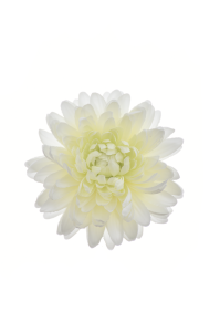 Chryzantema wyrobowa kremowo zielona 12cm